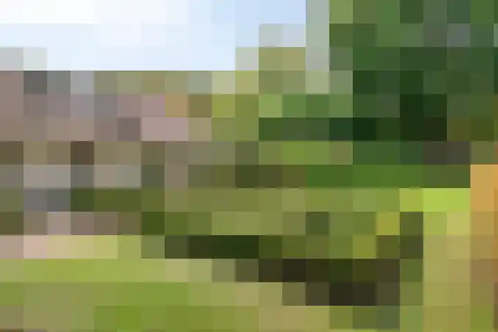 Churchillpark 11 Sterksel thumbnail 48