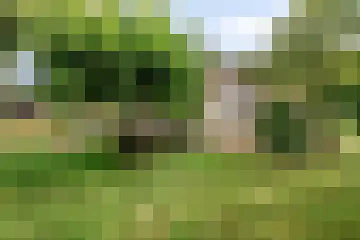 Churchillpark 11 Sterksel thumbnail 49