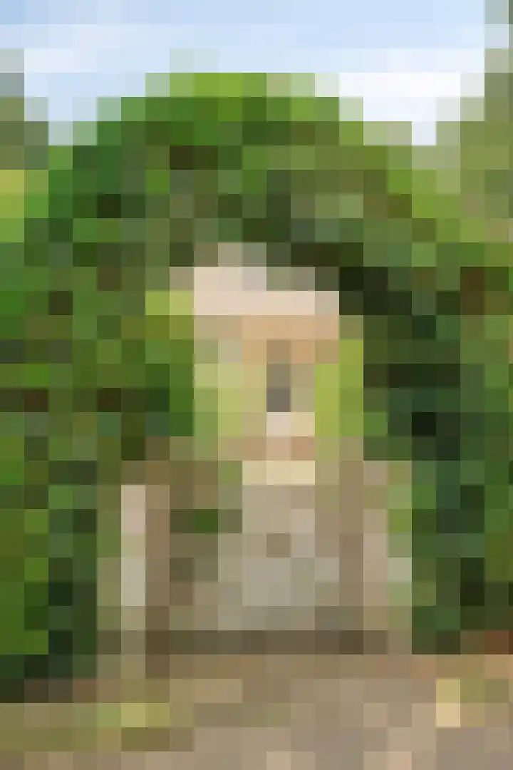 Churchillpark 11 Sterksel thumbnail 5