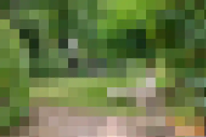 Churchillpark 11 Sterksel thumbnail 50