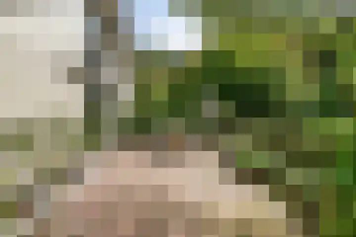 Churchillpark 11 Sterksel thumbnail 52