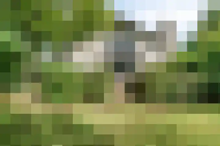 Churchillpark 11 Sterksel thumbnail 53