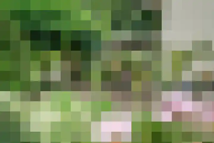 Churchillpark 11 Sterksel thumbnail 54