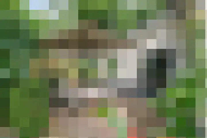 Churchillpark 11 Sterksel thumbnail 55