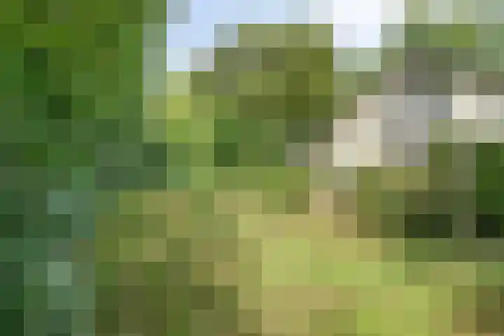Churchillpark 11 Sterksel thumbnail 58