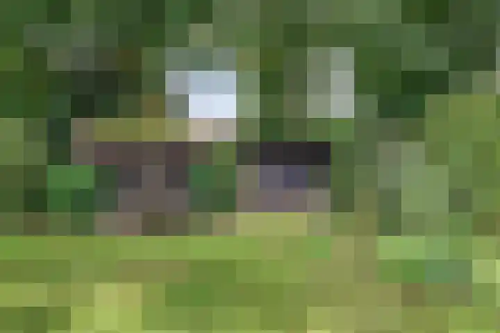 Churchillpark 11 Sterksel thumbnail 59