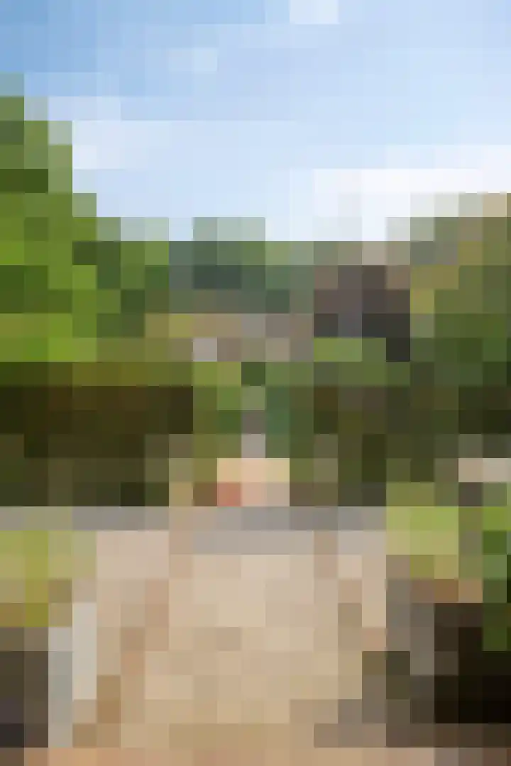 Churchillpark 11 Sterksel thumbnail 6