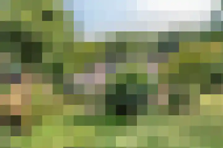Churchillpark 11 Sterksel thumbnail 61