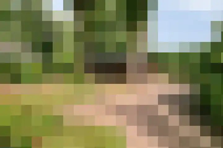 Churchillpark 11 Sterksel thumbnail 62
