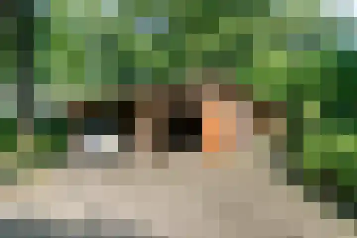 Churchillpark 11 Sterksel thumbnail 63