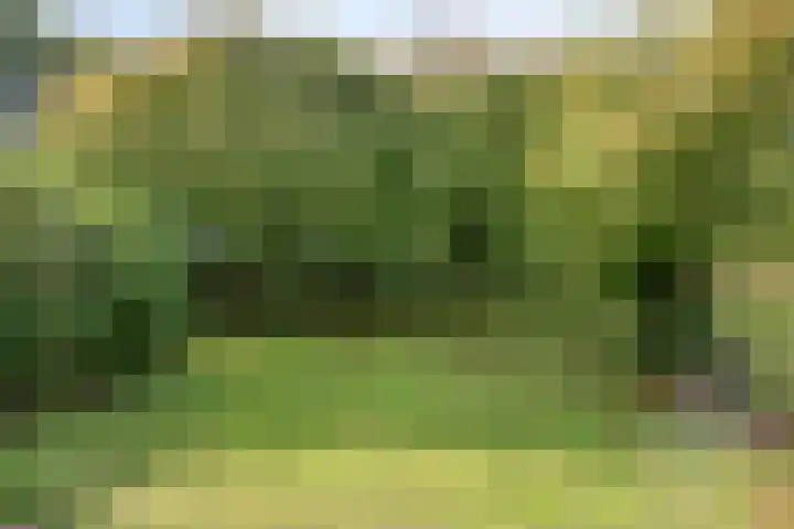 Churchillpark 11 Sterksel thumbnail 64