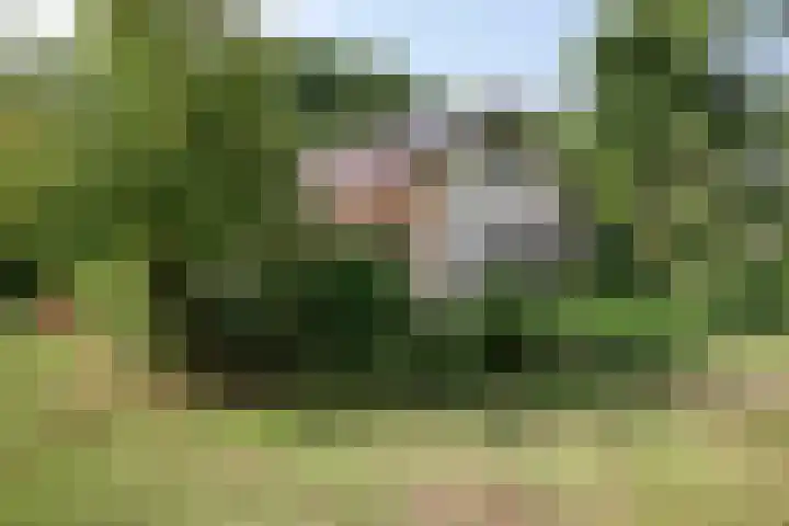 Churchillpark 11 Sterksel thumbnail 65