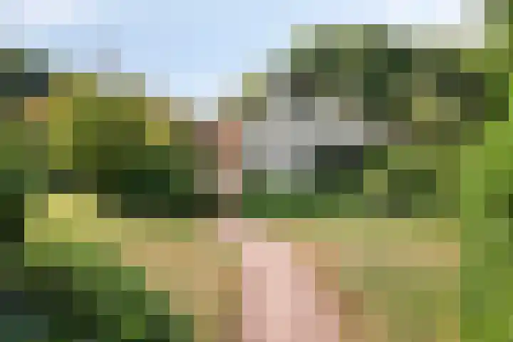 Churchillpark 11 Sterksel thumbnail 66