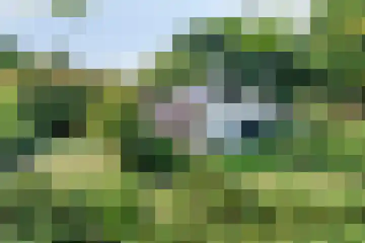 Churchillpark 11 Sterksel thumbnail 68