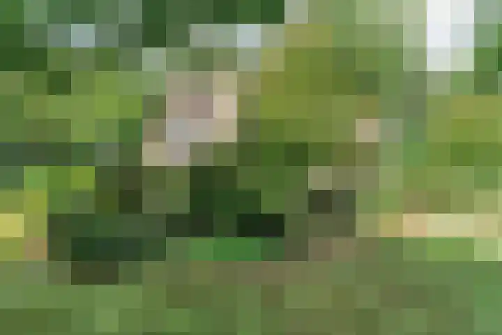 Churchillpark 11 Sterksel thumbnail 69