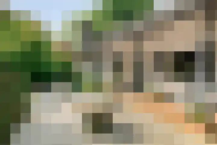 Churchillpark 11 Sterksel thumbnail 7