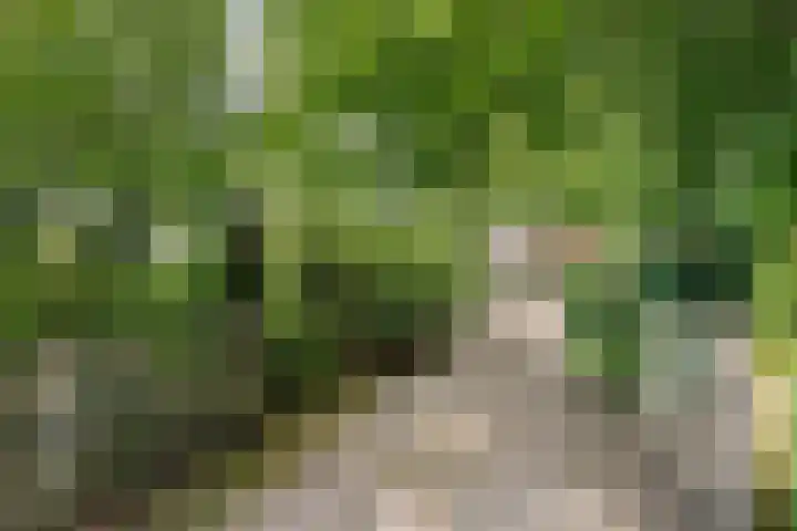 Churchillpark 11 Sterksel thumbnail 70