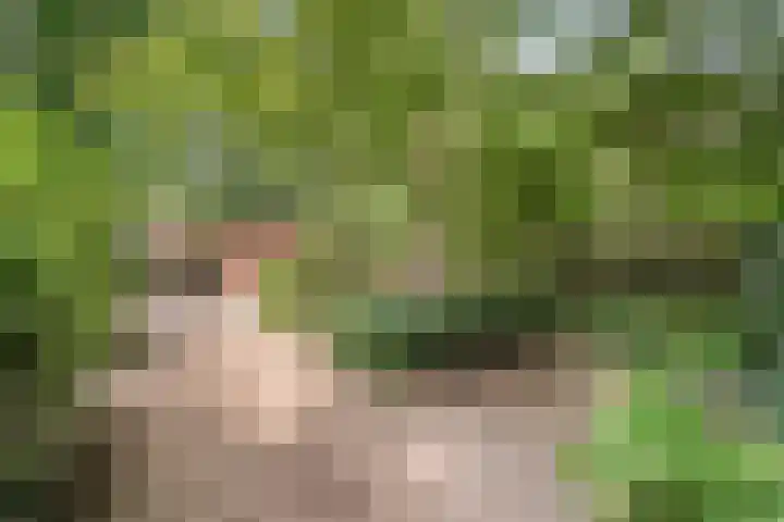Churchillpark 11 Sterksel thumbnail 71