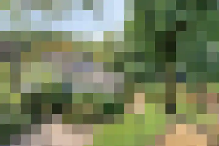 Churchillpark 11 Sterksel thumbnail 79