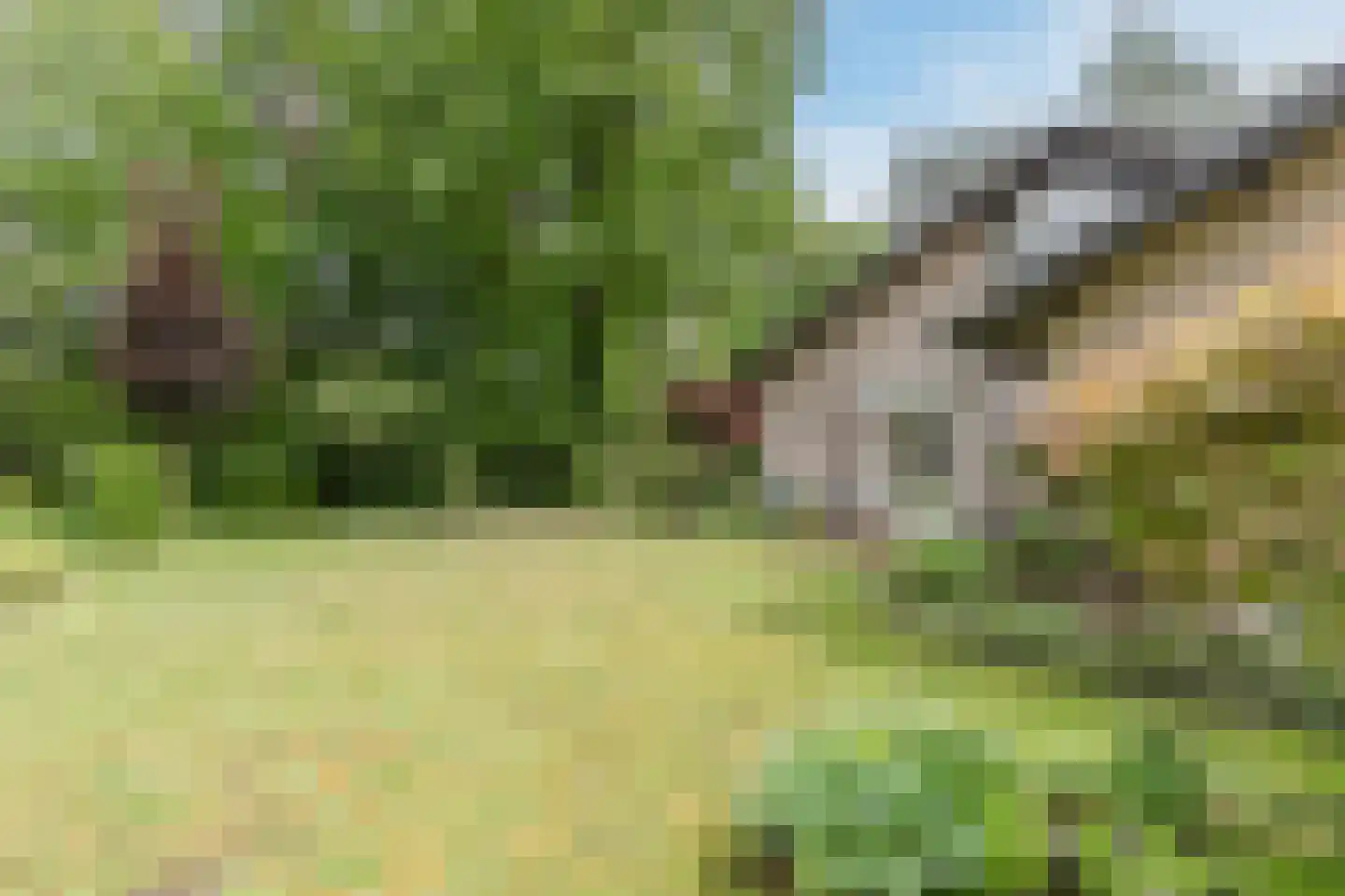 Churchillpark 12 Sterksel thumbnail 28
