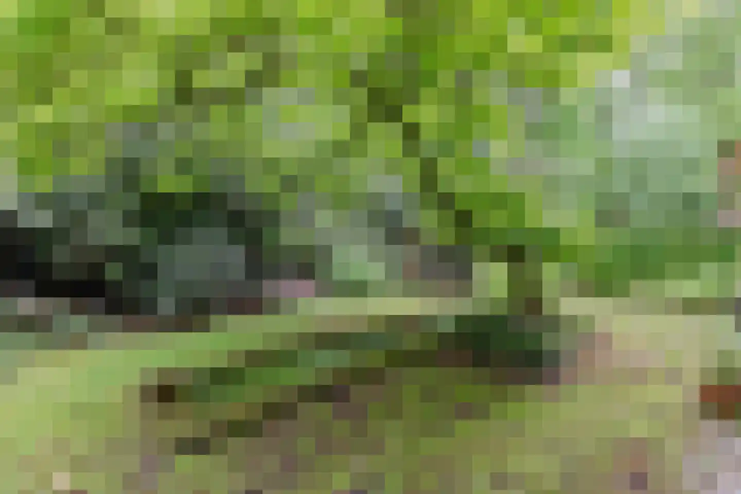 Churchillpark 12 Sterksel thumbnail 29