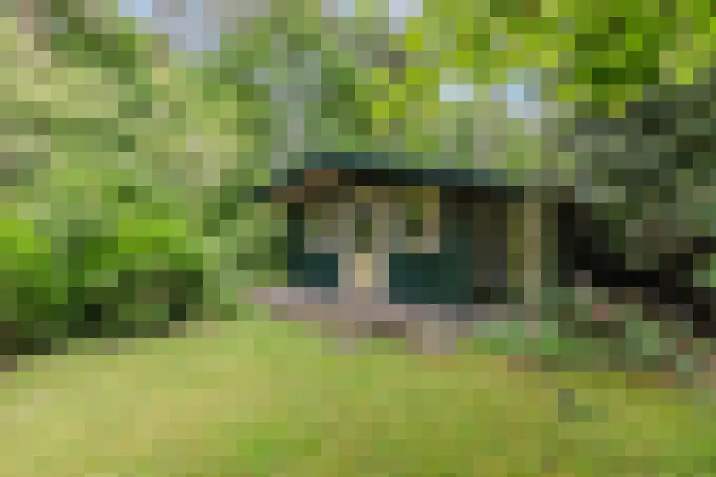 Churchillpark 12 Sterksel thumbnail 30