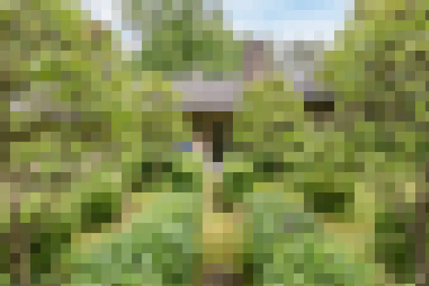 Churchillpark 12 Sterksel thumbnail 34