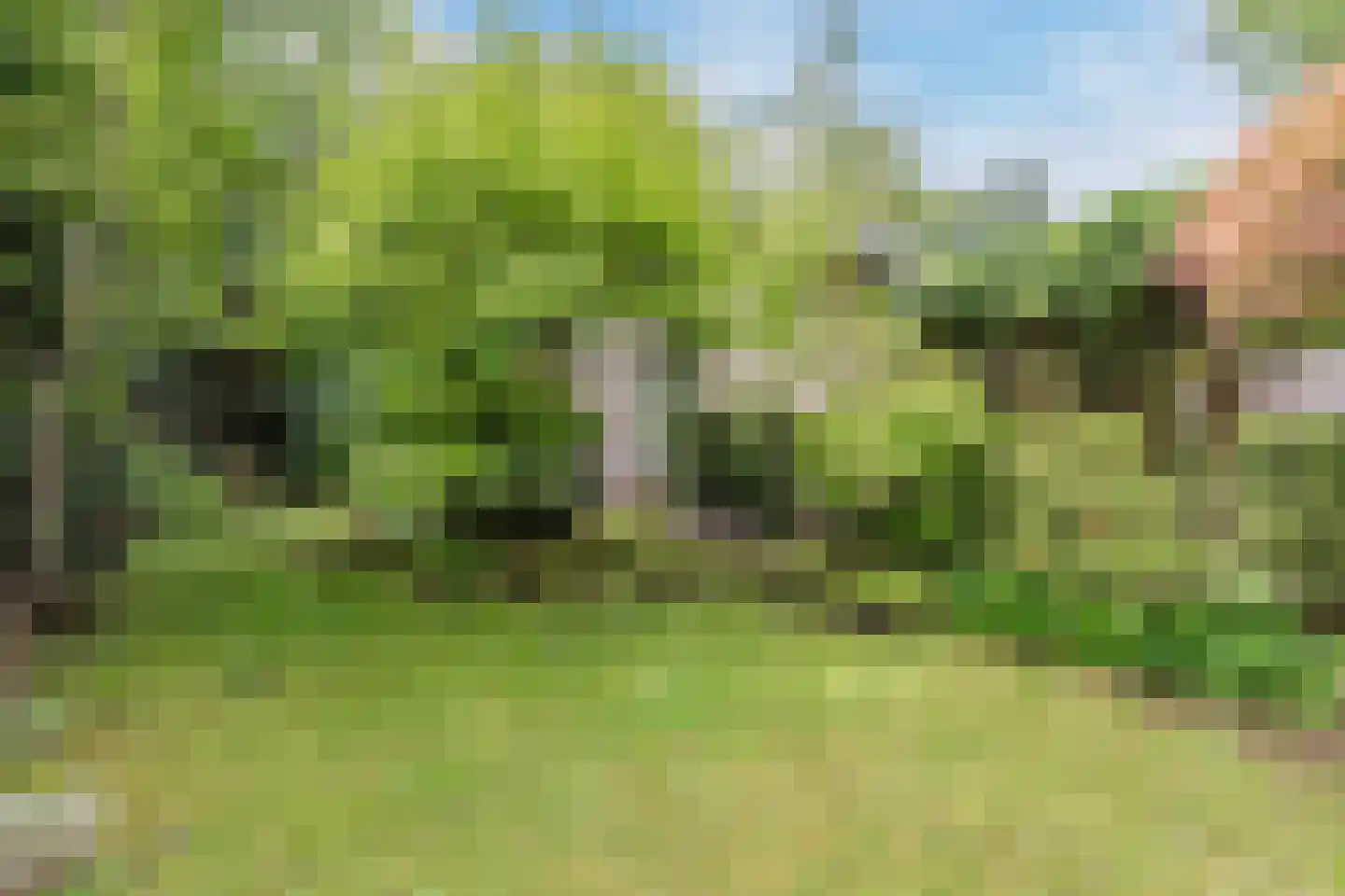 Churchillpark 12 Sterksel thumbnail 36