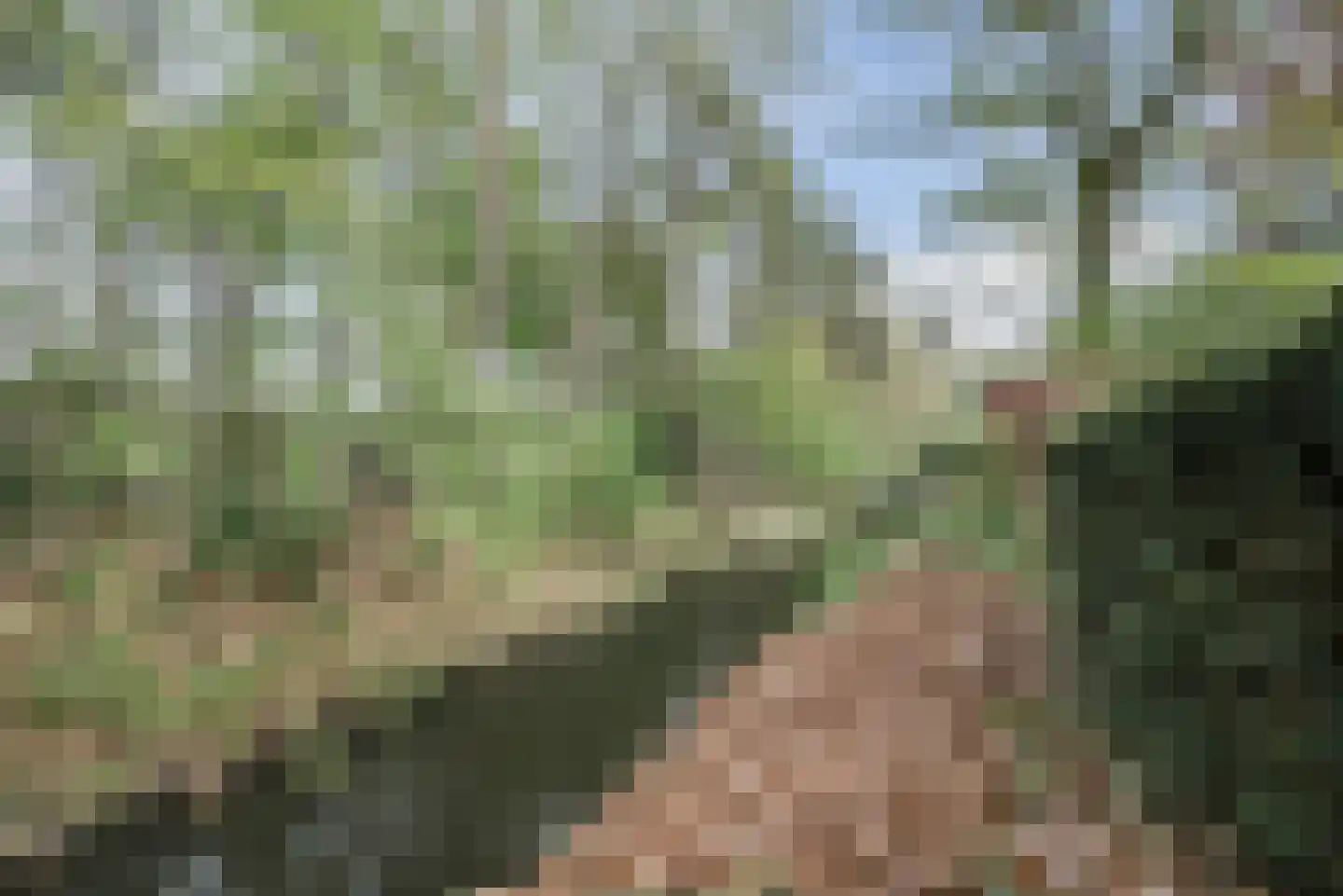 Churchillpark 12 Sterksel thumbnail 39