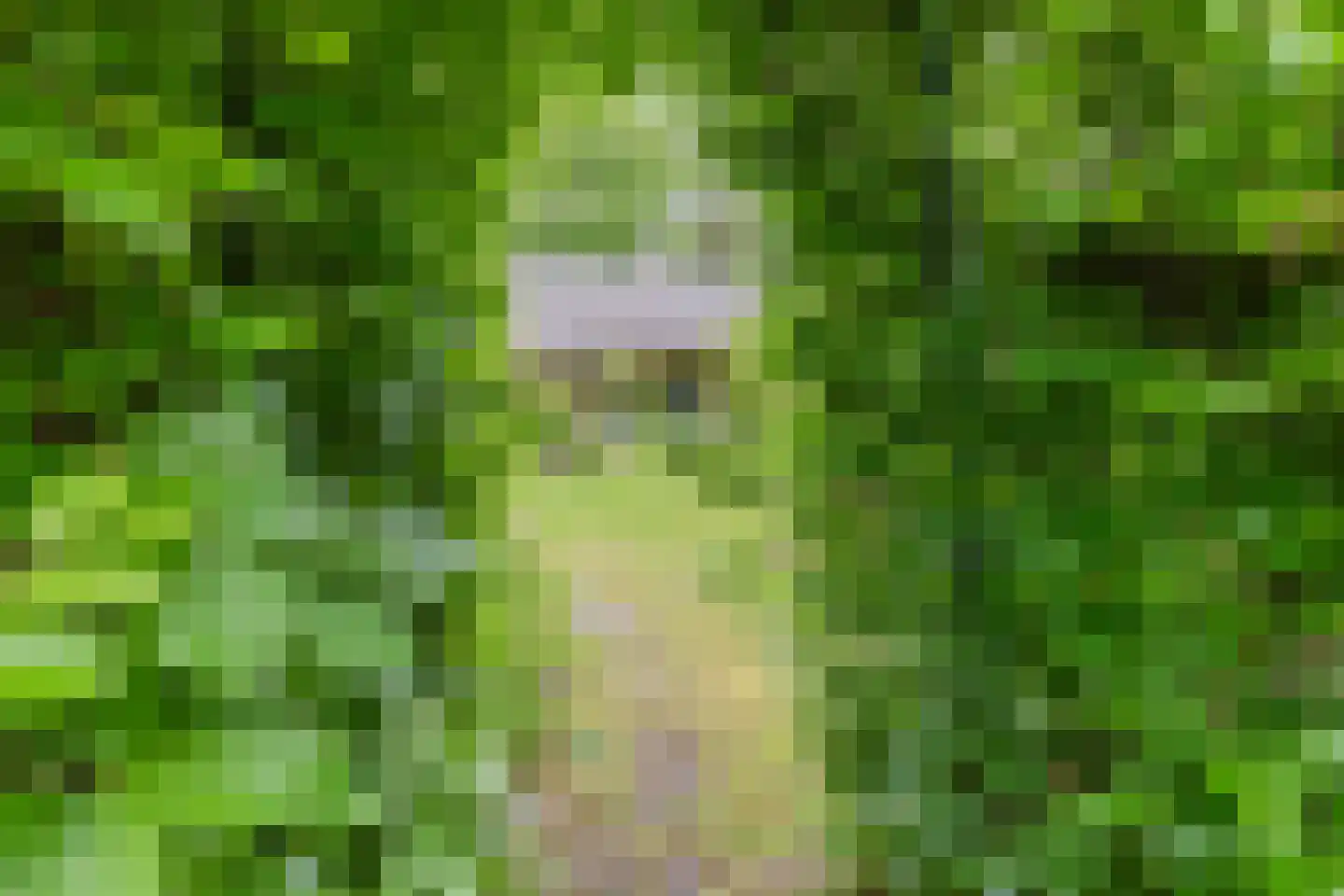 Churchillpark 12 Sterksel thumbnail 4