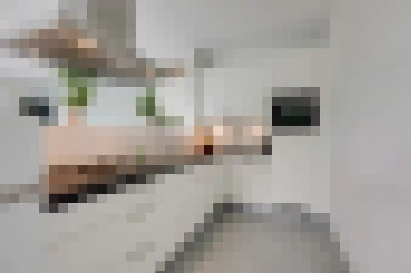 Churchillplein 10 Velp thumbnail 19