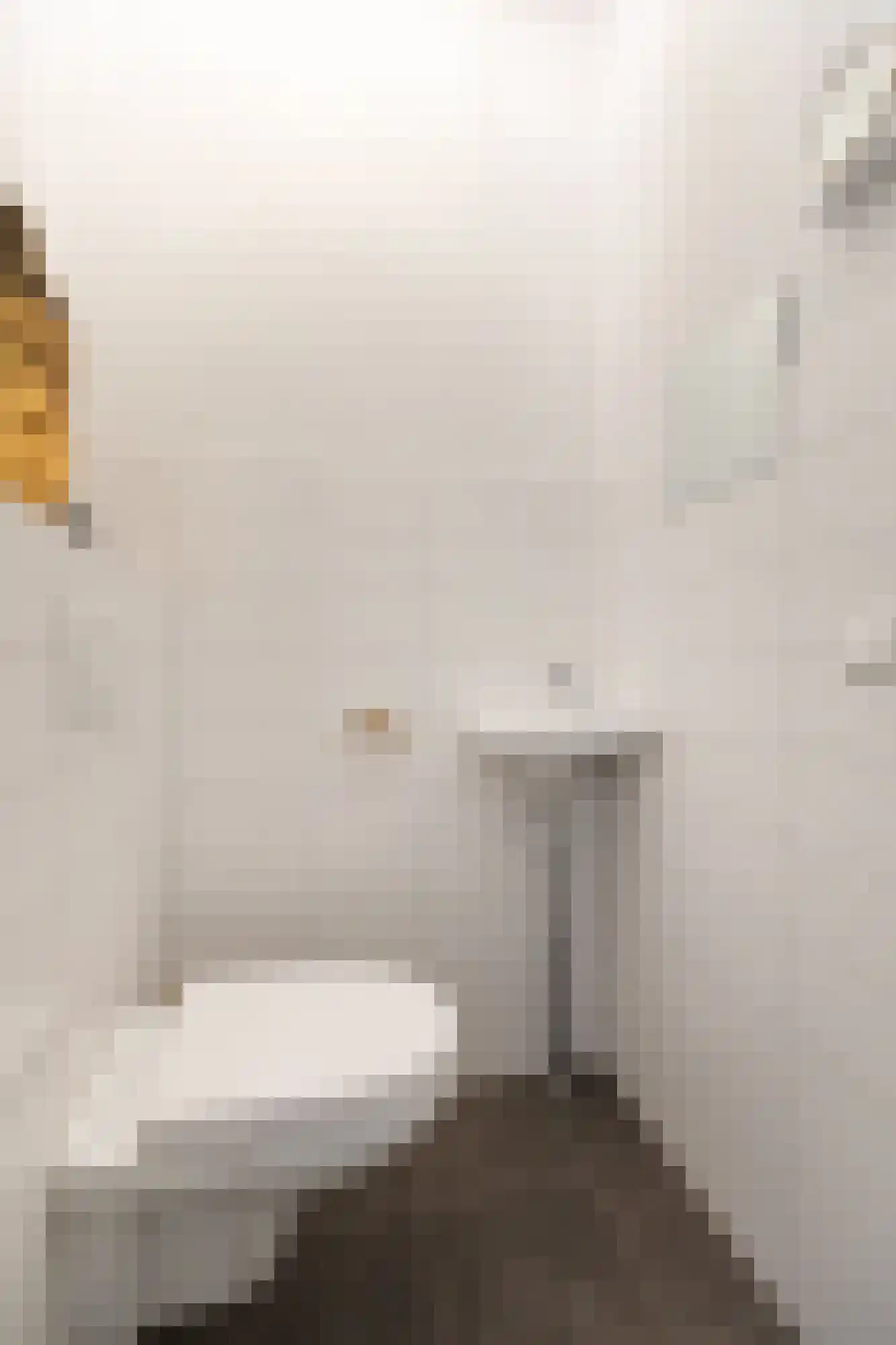 Churchillplein 10 Velp thumbnail 26