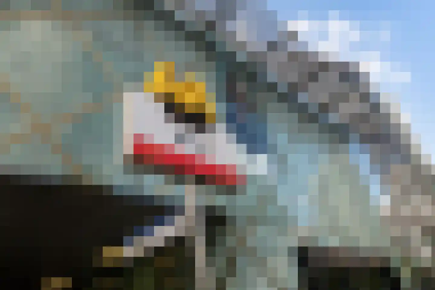 Churchillplein 118 Rotterdam thumbnail 25