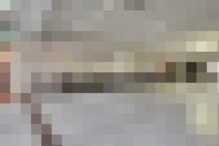 Churchillplein 14 Velp thumbnail 34