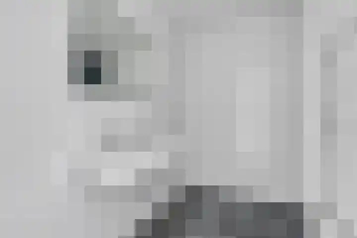 Churchillplein 23 Velp thumbnail 19