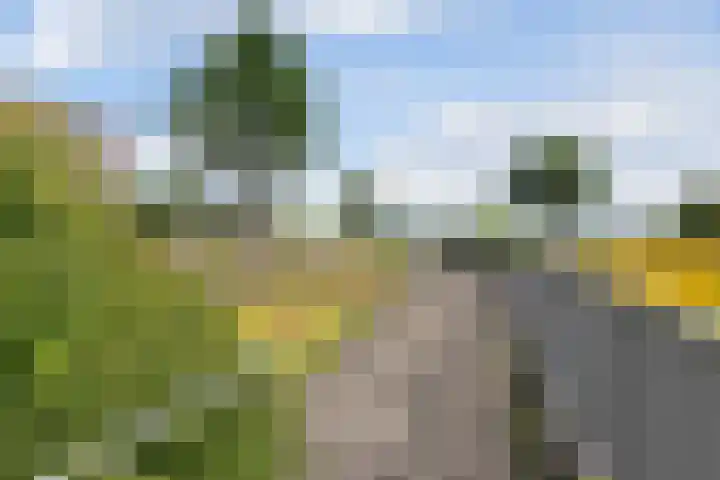 Churchillplein 23 Velp thumbnail 24