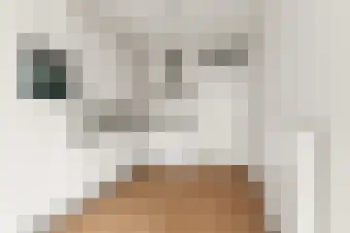 Churchillplein 37 Velp thumbnail 14