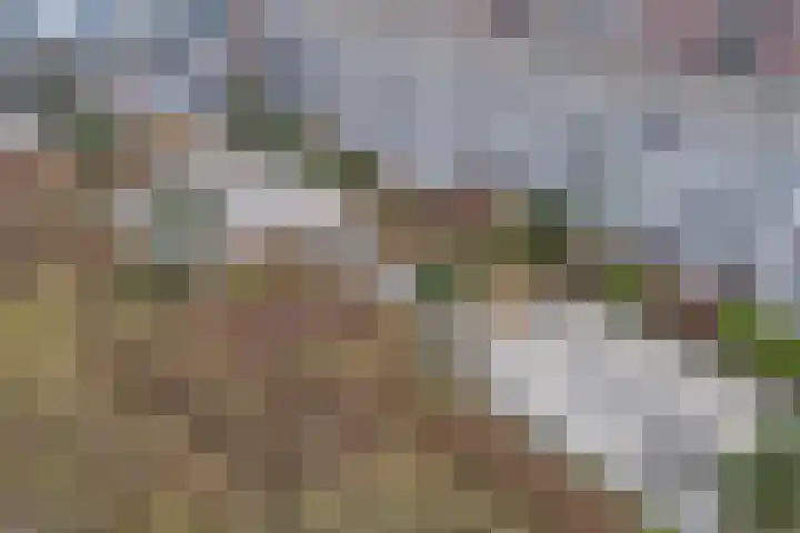 Churchillplein 37 Velp thumbnail 27