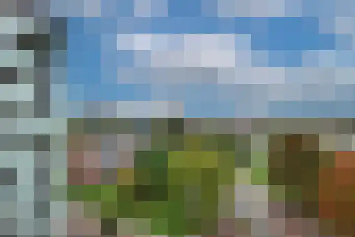 Churchillplein 38 Velp thumbnail 14