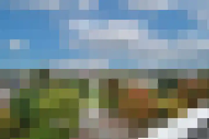 Churchillplein 38 Velp thumbnail 15