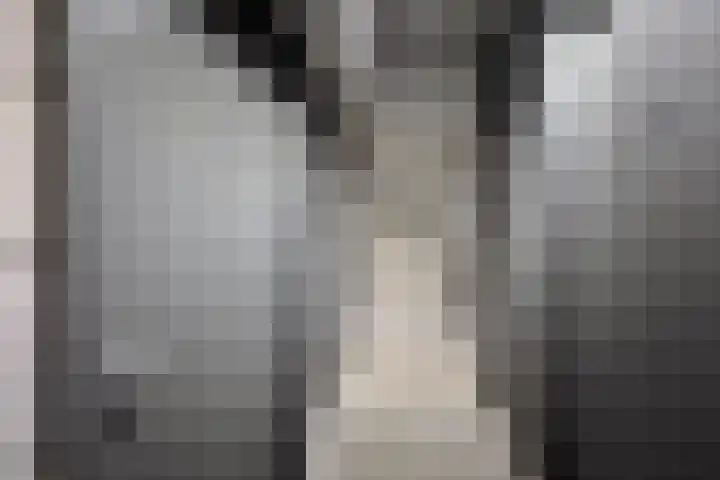 Churchillplein 38 Velp thumbnail 34