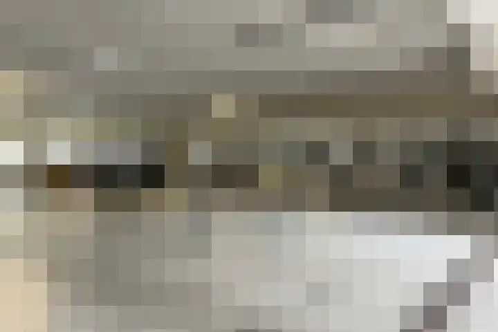 Churchillplein 38 Velp thumbnail 35