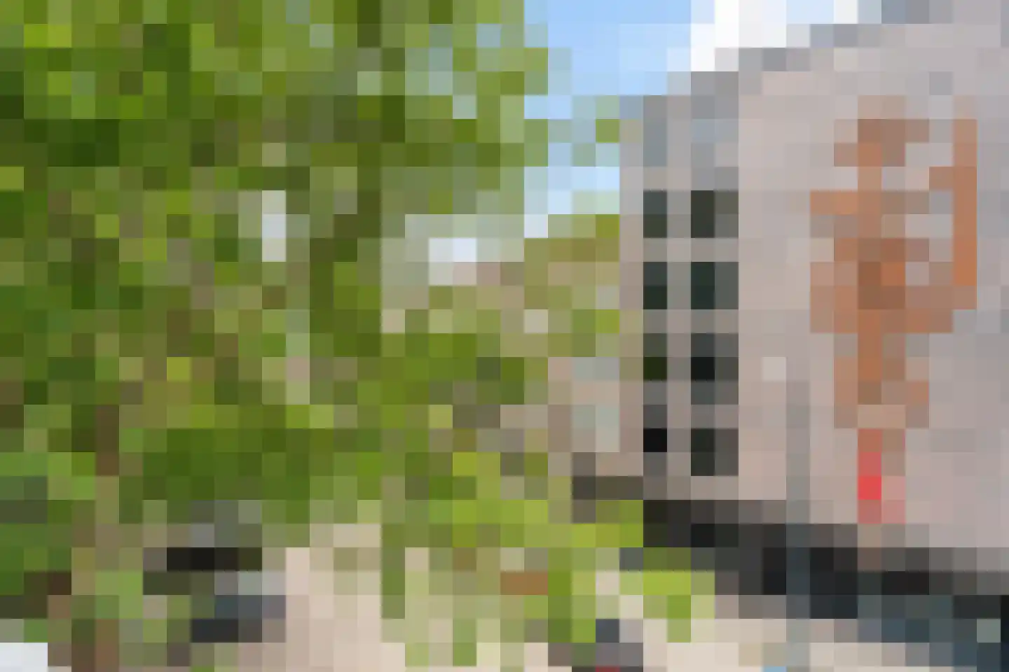 Churchillplein 50 Rotterdam thumbnail 15