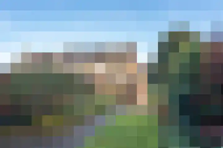 Churchillplein 6 Akersloot thumbnail 30