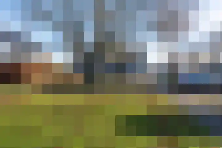 Churchillplein 6 Akersloot thumbnail 35
