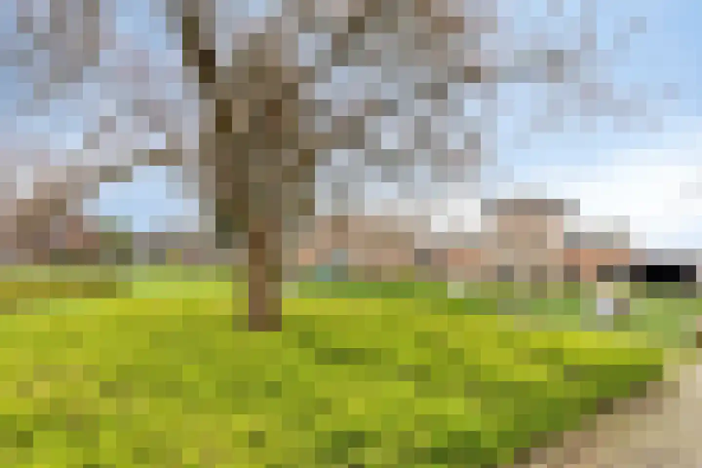 Churchillplein 6 Ridderkerk thumbnail 37