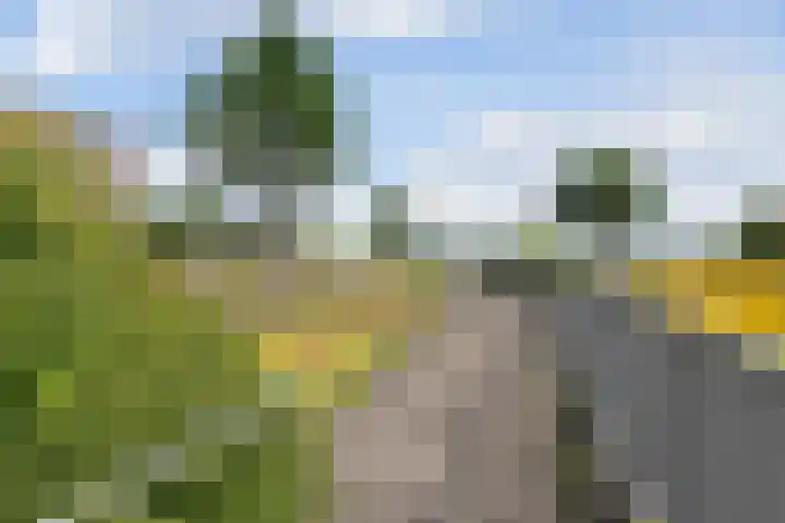 Churchillplein 64 Velp thumbnail 20