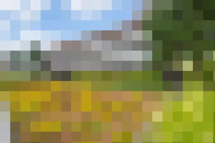 Churchillplein 64 Velp thumbnail 23