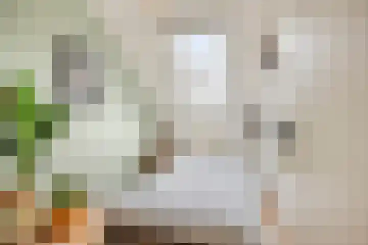 Churchillplein 8 e Tilburg thumbnail 33