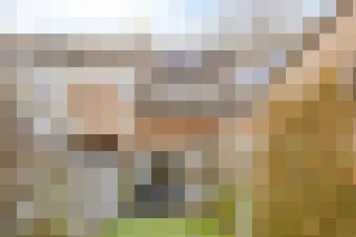 Churchillplein 8 e Tilburg thumbnail 43